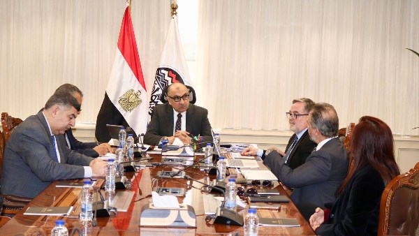 وزير قطاع الأعمال العام