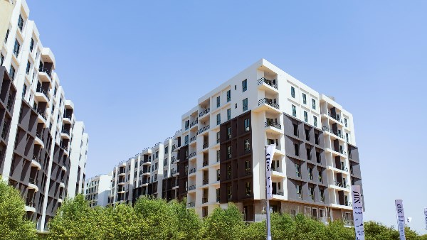  شركة نيو جيرسي