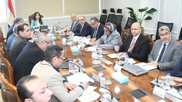 المهندسة راندة المنشاوي