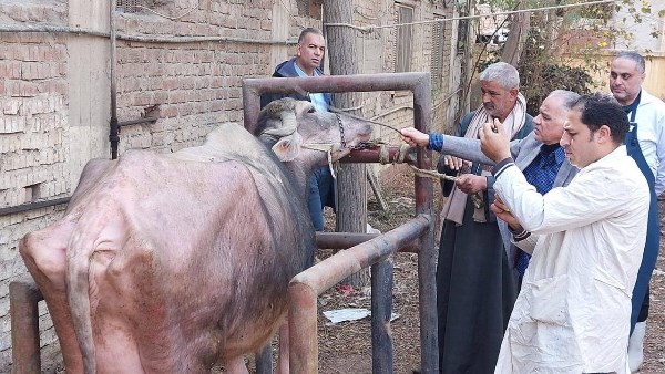 قافلة بيطرية علاجية