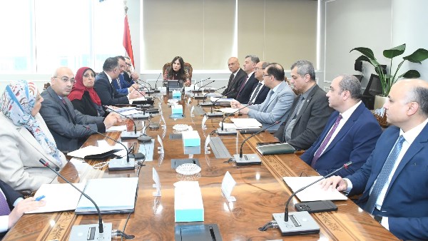 المهندسة راندة المنشاوي