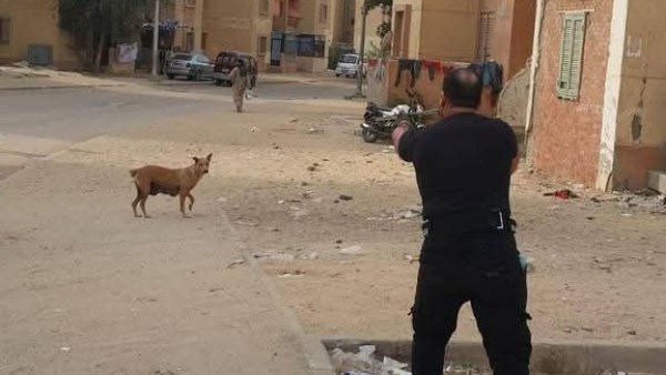 حدائق أكتوبر