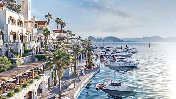 الوحدات الساحلية 