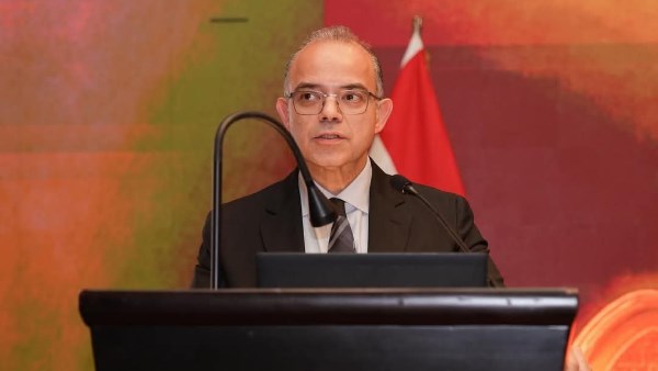 وزير الاستثمار