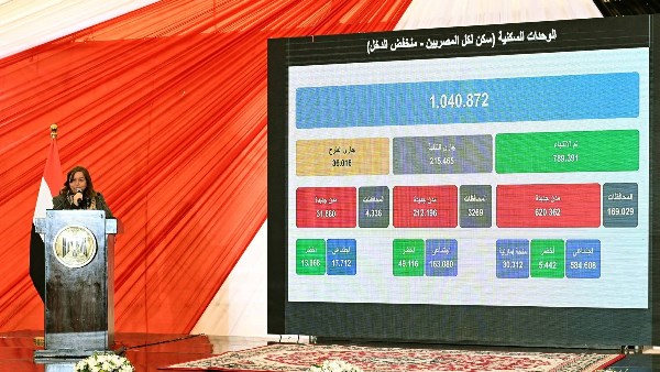 مي عبد الحميد