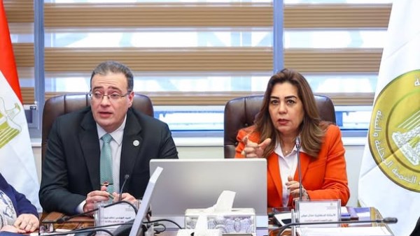 التنمية المحلية