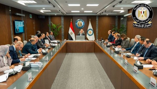 توطين الصناعة