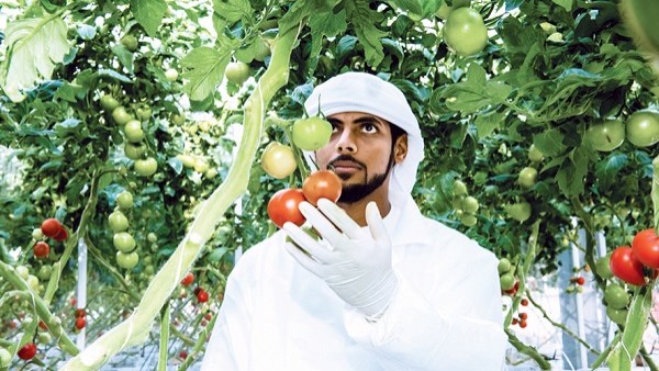 حرب إيران.. الإمارات تكشف عن مدى جاهزية المخزون الاستراتيجي لسوقها المحلي