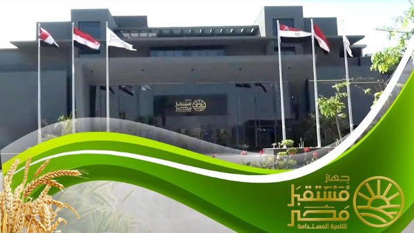 جهاز مستقبل مصر: السلع الأساسية متوفرة والمخزون الاستراتيجي آمن لضمان استقرار الأسواق