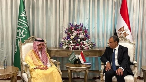 وزير الخارجية يؤكد تضامن مصر الكامل ودعمها للسعودية ودول الخليج