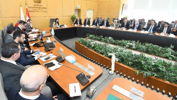 المهندسة راندة المنشاوي