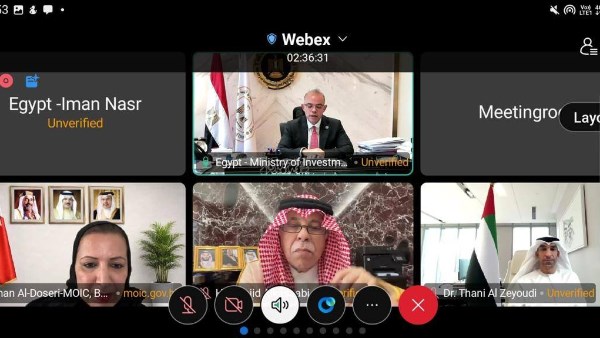 وزير الاستثمار