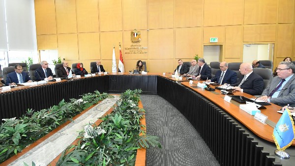 المهندسة راندة المنشاوي