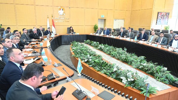 المهندسة راندة المنشاوي