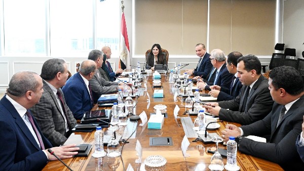 المهندسة راندة المنشاوي