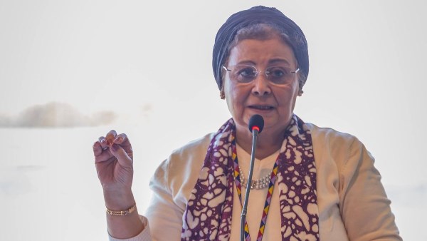 الدكتورة عبلة الألفي