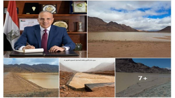 الدكتور هاني سويلم