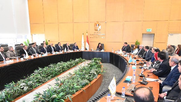 المهندسة راندة المنشاوي