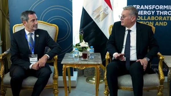 المهندس كريم بدوي