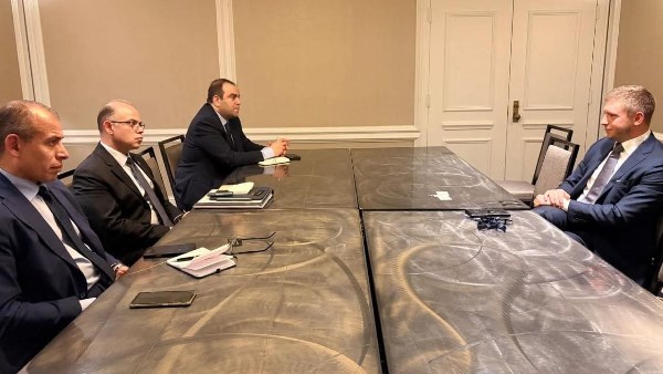 وزارة الاستثمار 