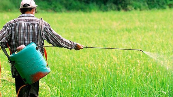 "الزراعة" تحذر من تداول كتب مزيفة منسوبة للجنة مبيدات الآفات