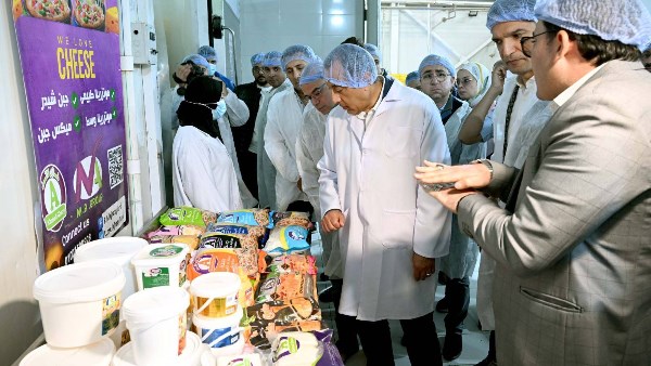 رئيس مجلس الوزراء