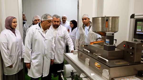 رئيس مجلس الوزراء