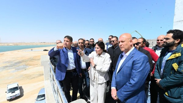 المهندسة راندة المنشاوي