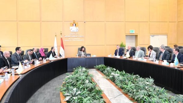 المهندسة راندة المنشاوي