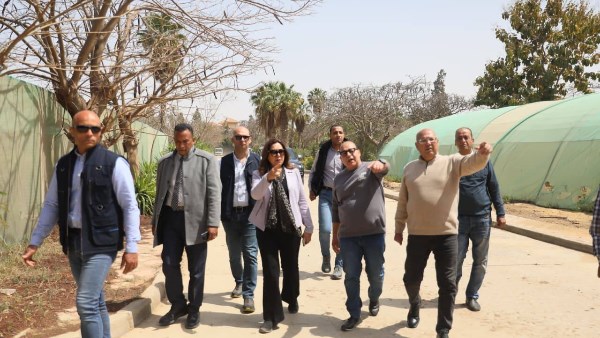  الدكتورة منال عوض