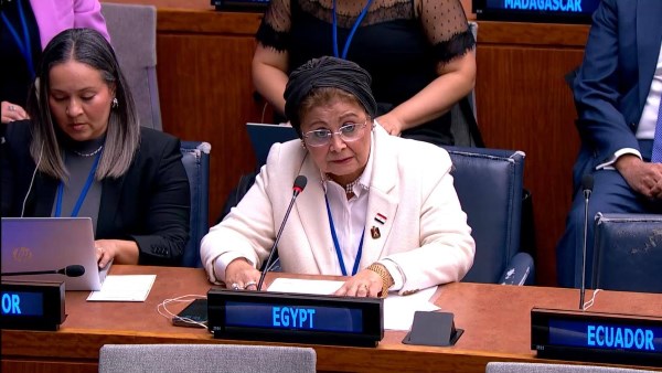 الدكتورة عبلة الألفي