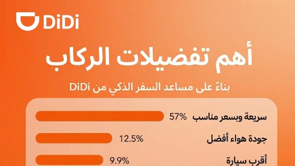 شركة «دي دي»