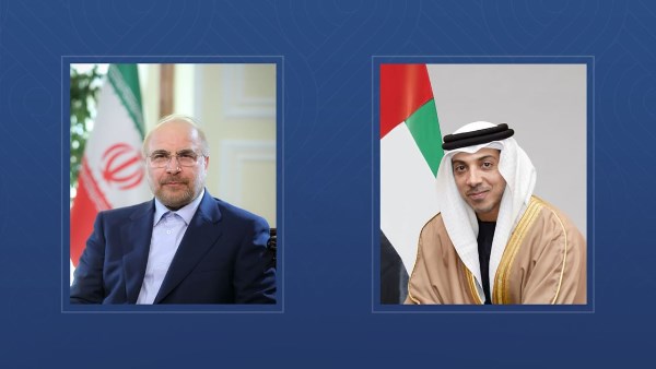 منصور بن زايد