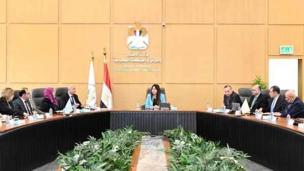 المهندسة راندة المنشاوي