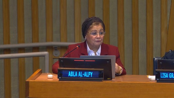  الدكتورة عبلة الألفي