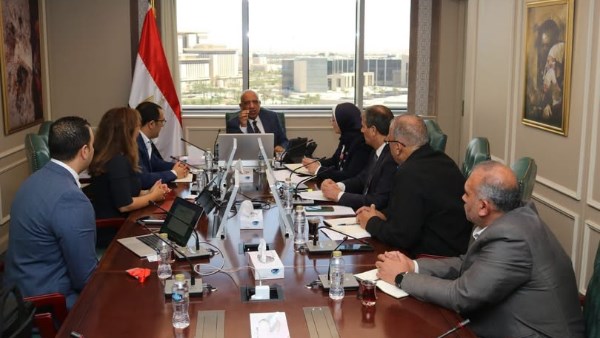 وزير الكهرباء