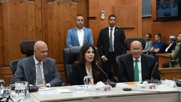 المهندسة راندة المنشاوي