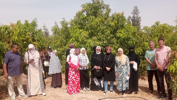 جنوب سيناء 