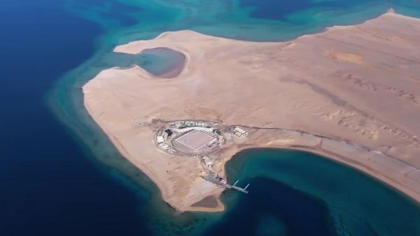 حضانة الشعاب المرجانية بالسعودية