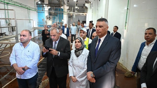 محافظ جنوب سيناء 