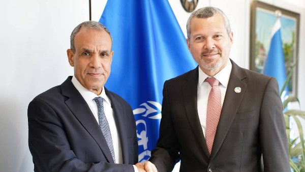 وزير الخارجية