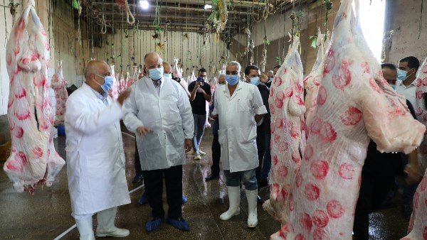 الزراعة: ذبح 7,681 أضحية بالمجازر الحكومية "مجاناً" للمواطنين في ثالث أيام عيد الأضحى