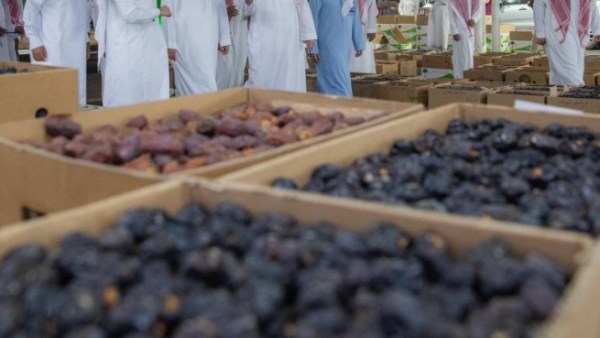 إقبال الحجاج ينعش سوق تمور المدينة المنورة