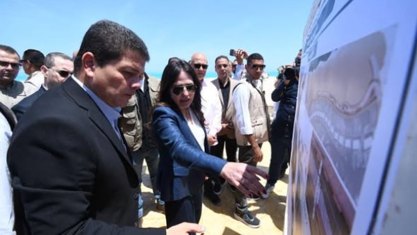 المهندسة راندة المنشاوي