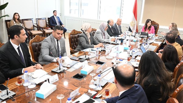 المهندسة راندة المنشاوي