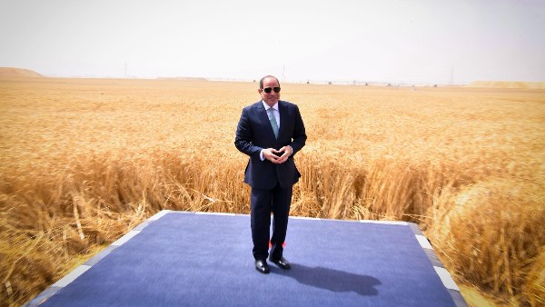 الرئيس عبد الفتاح السيسي