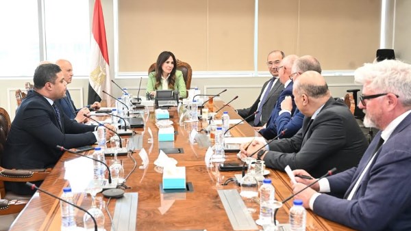 المهندسة راندة المنشاوي