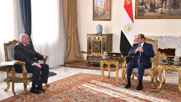الرئيس السيسى
