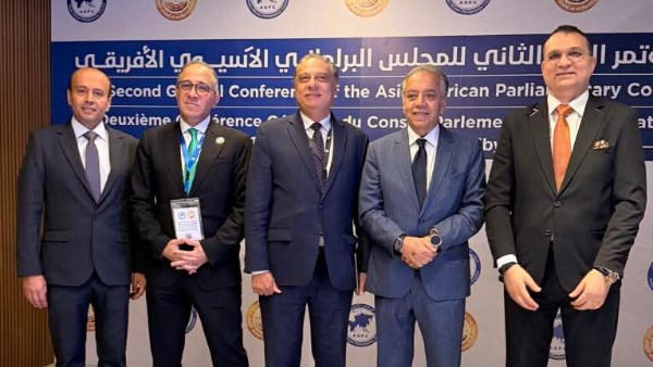 الدكتور أحمد شلبي
