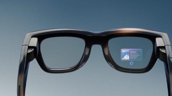 The Meta Glasses